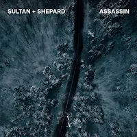 Sultan + Shepard — Assassin — обложка