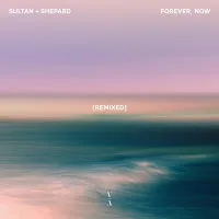 Sultan + Shepard — Losing Ground (Rinzen Extended Mix) Ft Tishmal — обложка