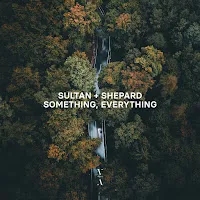 Sultan + Shepard — Don't Forget — обложка